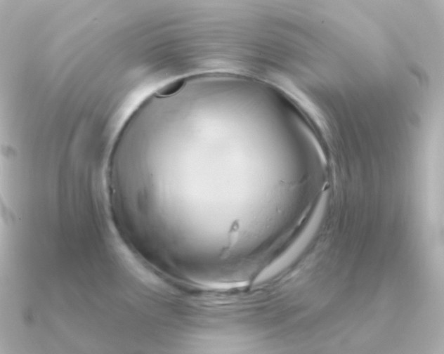 X0000090891291200708101356