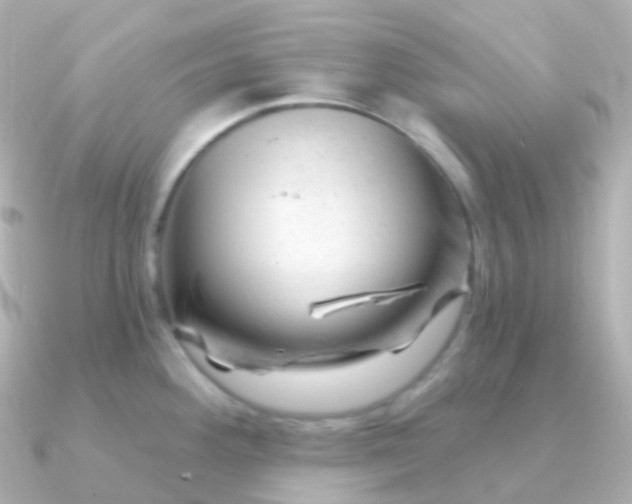 X0000090891292200708101356