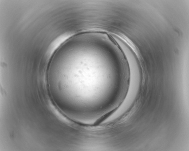 X0000090891293200708101356