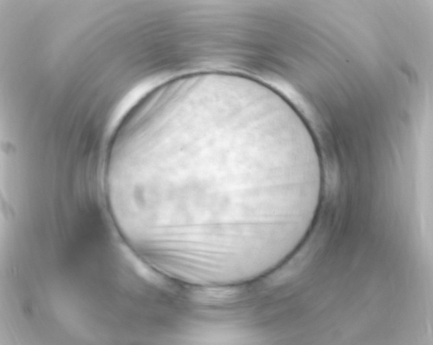 X0000090891294200708101356