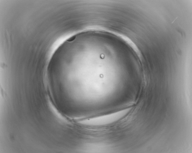 X0000090891295200708101356