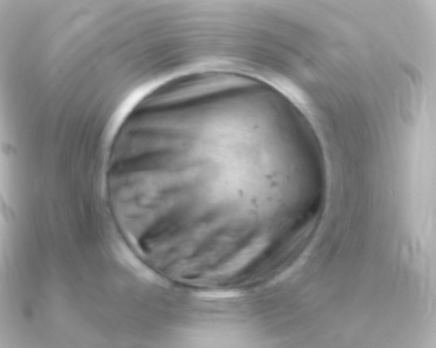 X0000090891296200708101355