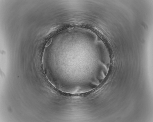 X0000090891297200708101355