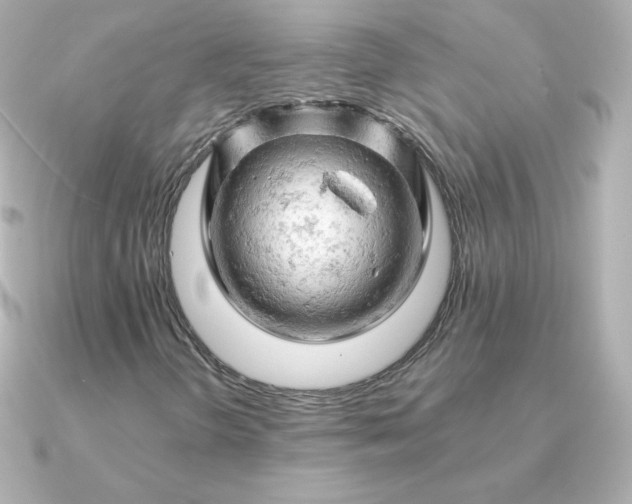 X0000090891298200708101355