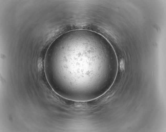 X0000090891299200708101355