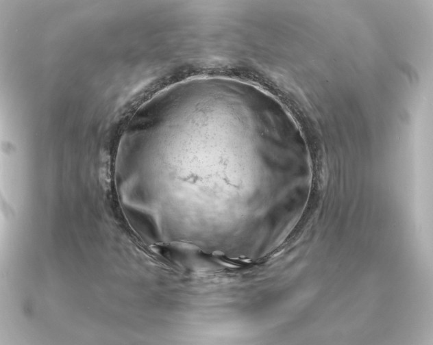 X0000090891301200708101355