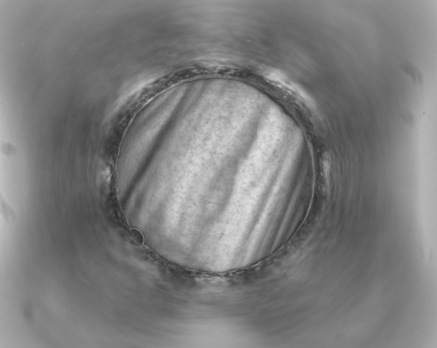 X0000090891302200708101355