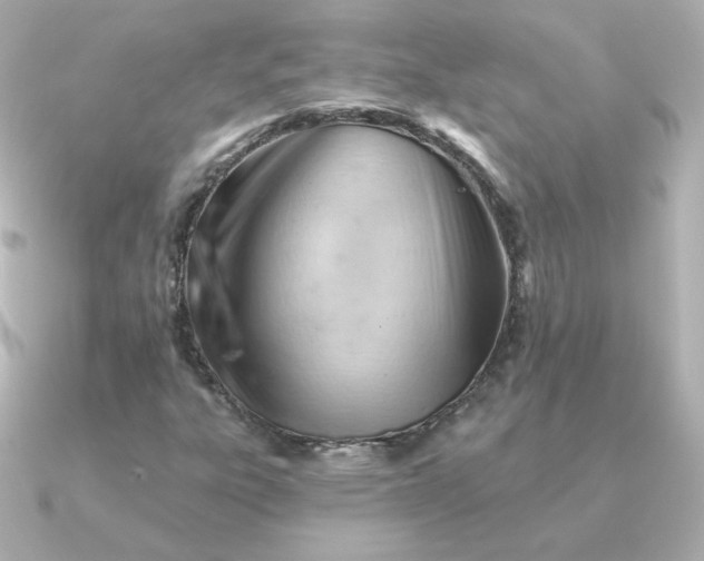 X0000090891303200708101355