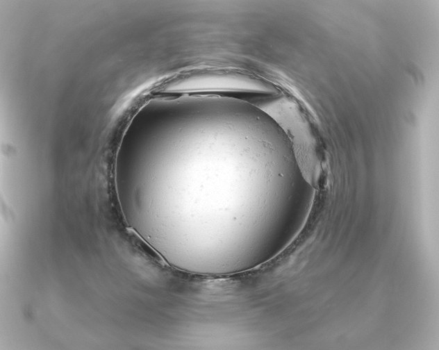 X0000090891304200708101355