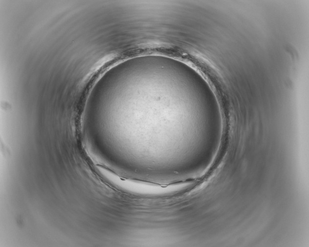 X0000090891305200708101355