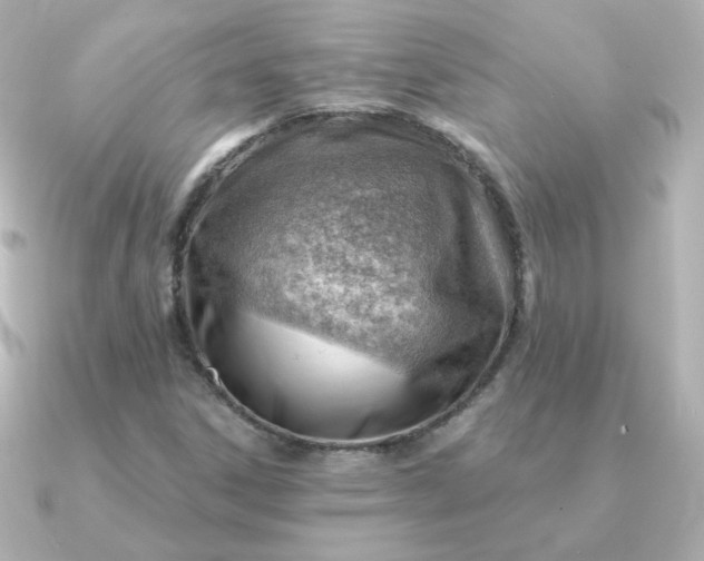 X0000090891306200708101355