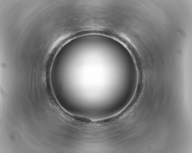 X0000090891307200708101355