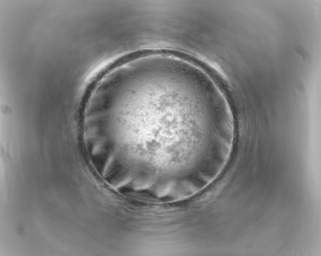 X0000090891311200708101355