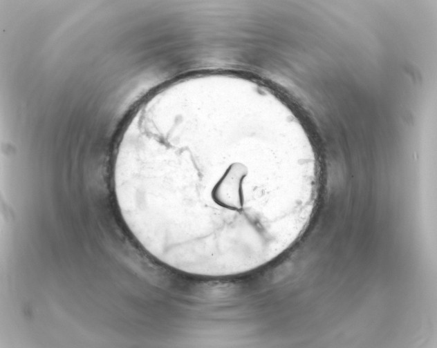 X0000090891314200708101355