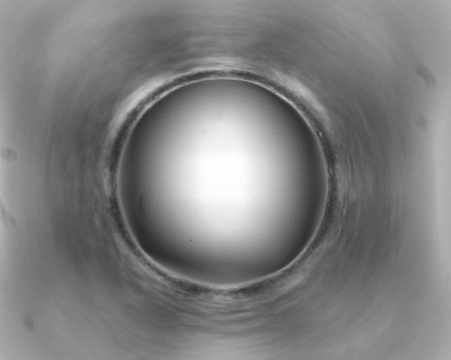 X0000090891318200708101355