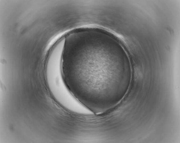 X0000090891319200708101355