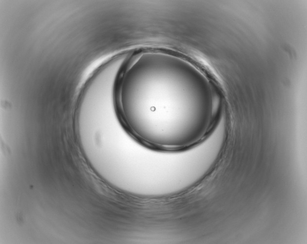 X0000090891320200708101355