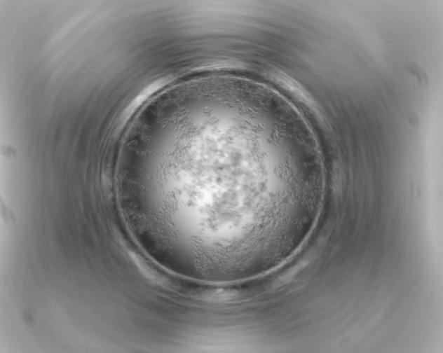 X0000090891321200708101355