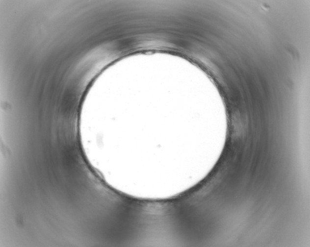 X0000090891322200708101355