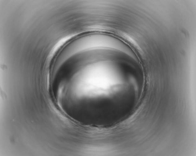 X0000090891323200708101355