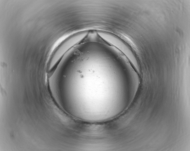 X0000090891324200708101355