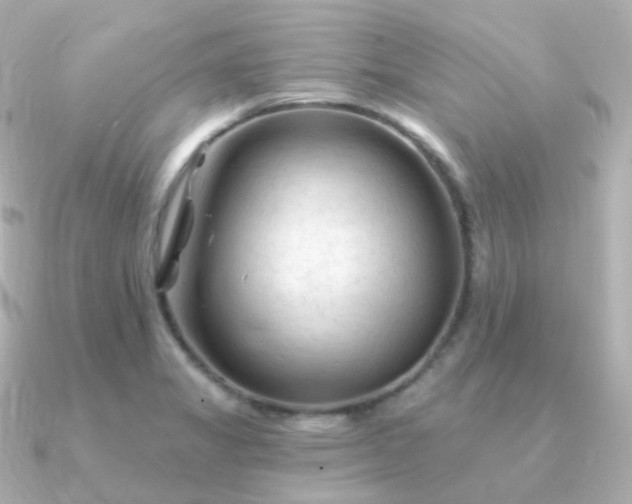 X0000090891325200708101355