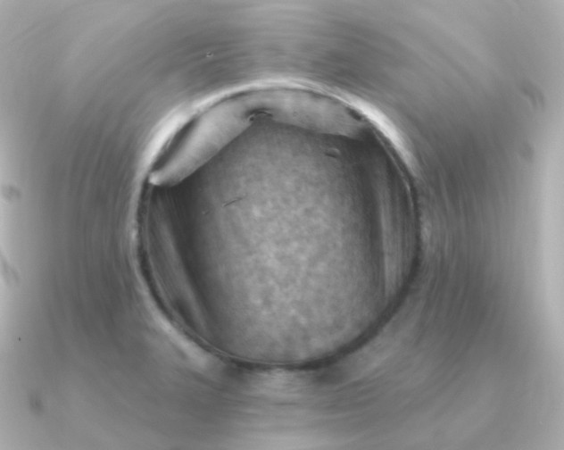 X0000090891327200708101355