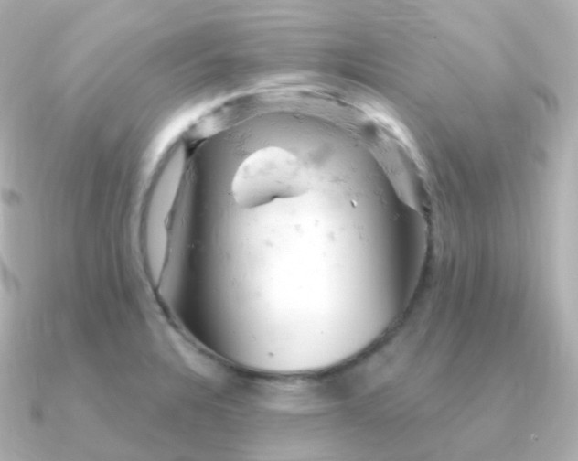 X0000090891328200708101355