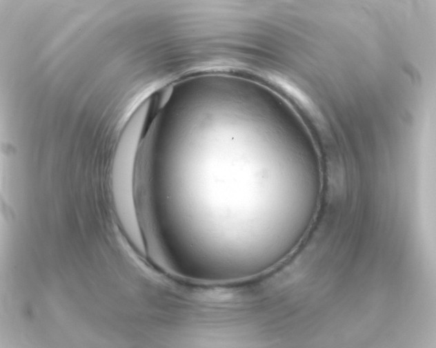 X0000090891329200708101355