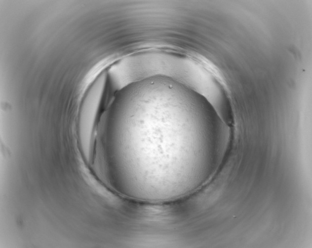 X0000090891330200708101355