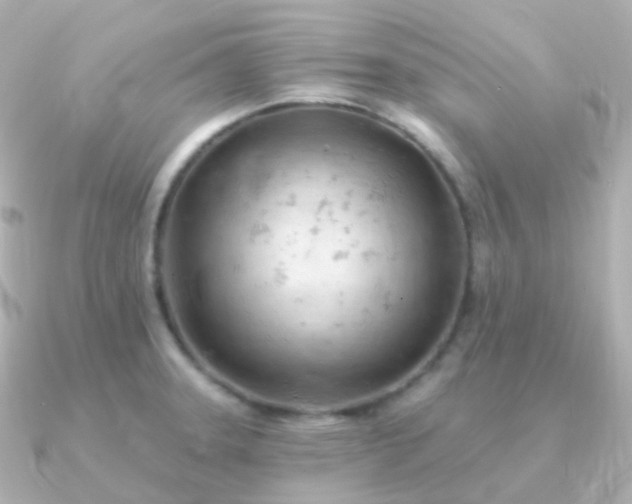 X0000090891331200708101355