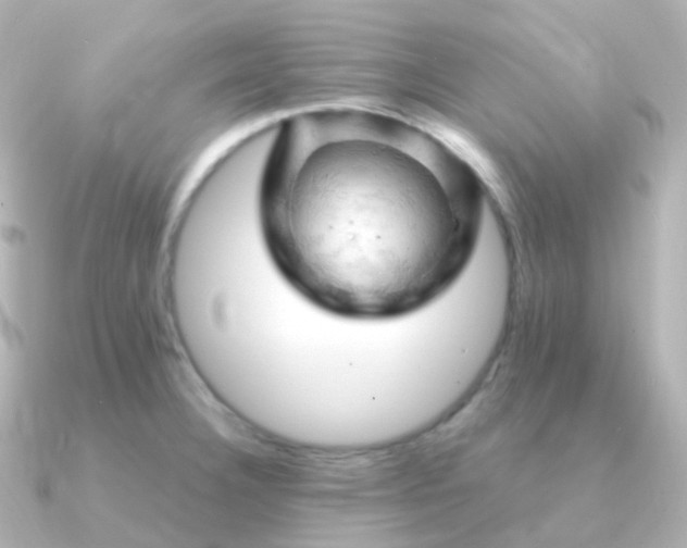 X0000090891332200708101355