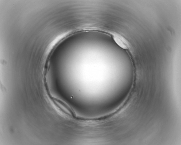 X0000090891333200708101355