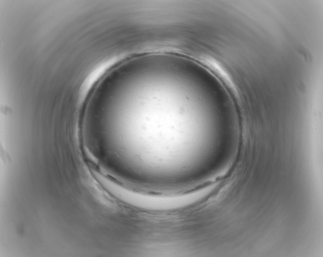 X0000090891336200708101355