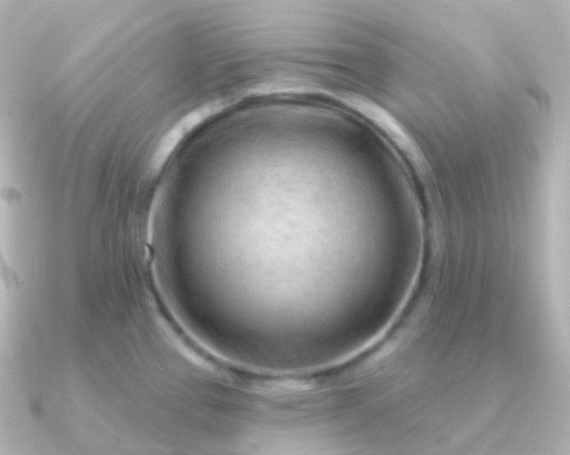 X0000090891337200708101355