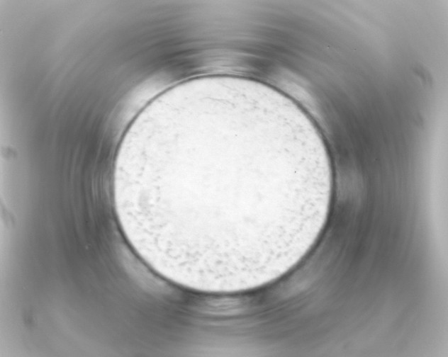 X0000090891338200708101355