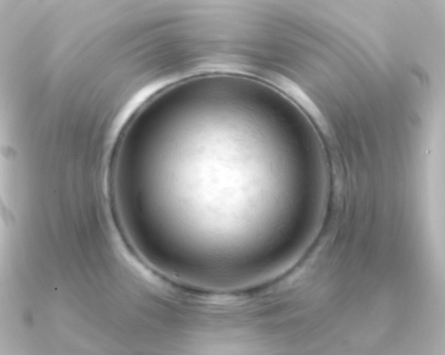 X0000090891339200708101355