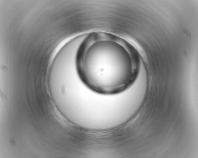 X0000090891340200708101355