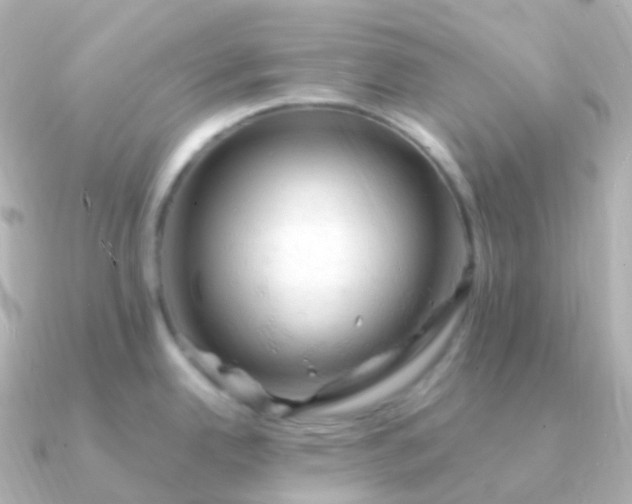 X0000090891342200708101355