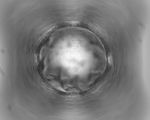 X0000090891347200708101355