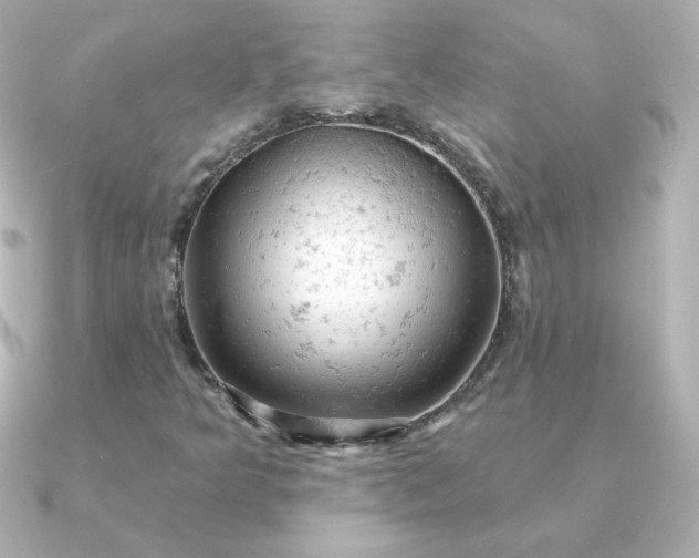 X0000090891349200708101355