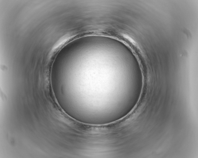 X0000090891354200708101355