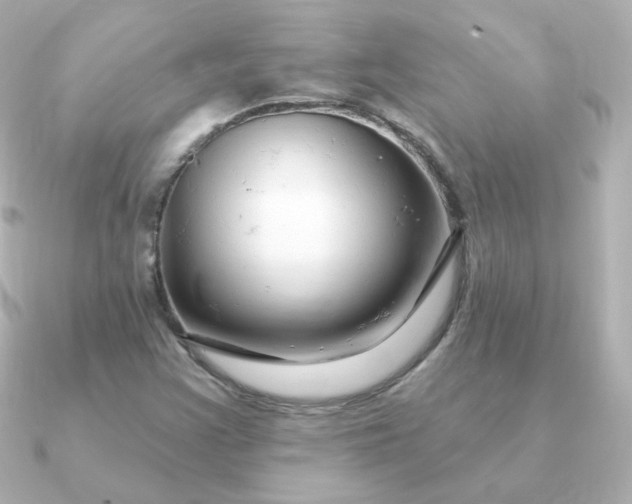 X0000090891355200708101355