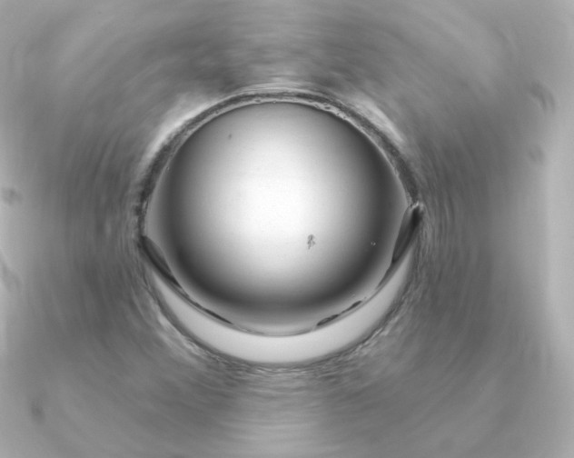 X0000090891356200708101355