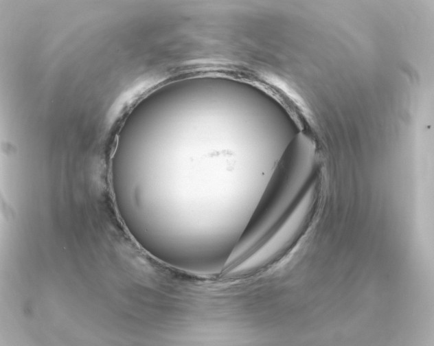 X0000090891357200708101355