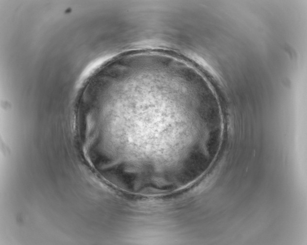 X0000090891358200708101355