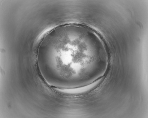 X0000090891359200708101355