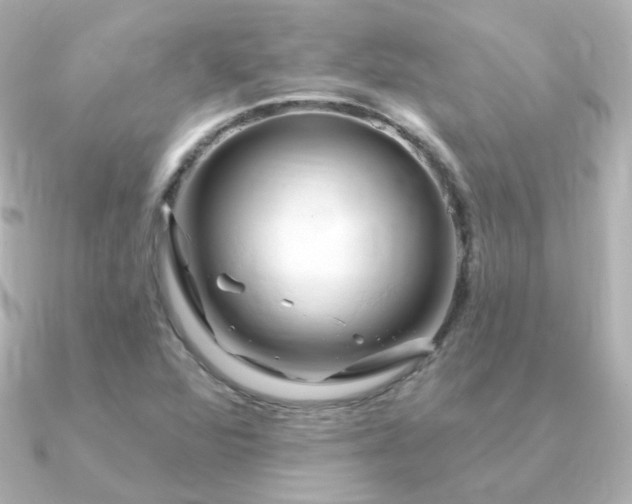 X0000090891360200708101355