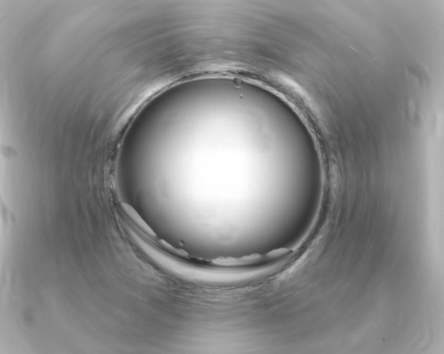 X0000090891361200708101355