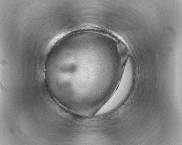 X0000090891363200708101355